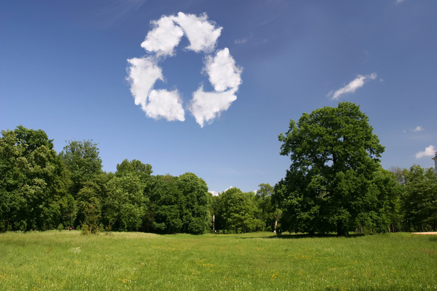 Renewable Energy